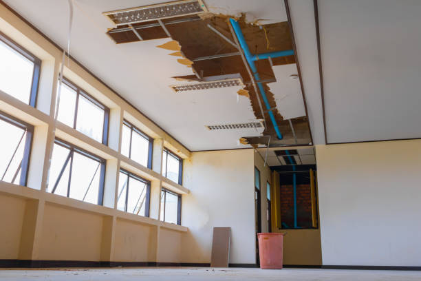 Best Mold removal after water damage  in Delray Beach, FL