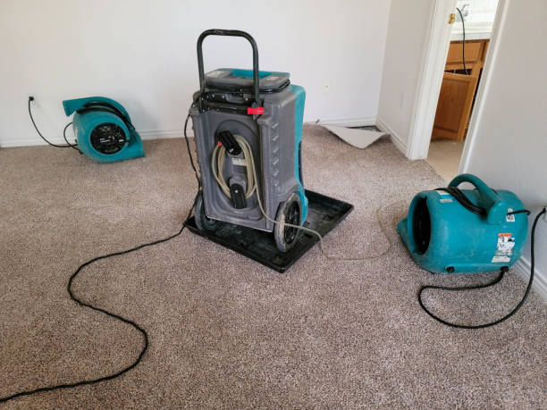 Best Water damage cleanup near me  in Delray Beach, FL