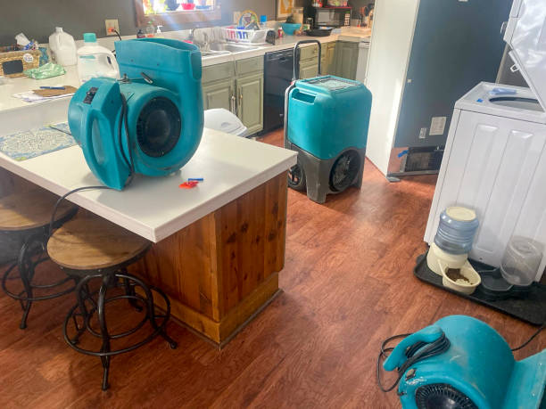 Best Flood restoration services  in Delray Beach, FL