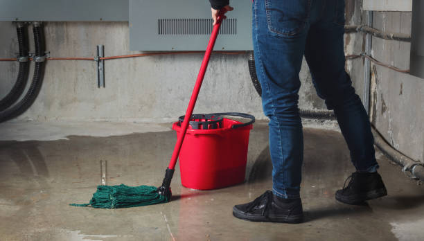 Best Flood damage cleanup  in Delray Beach, FL