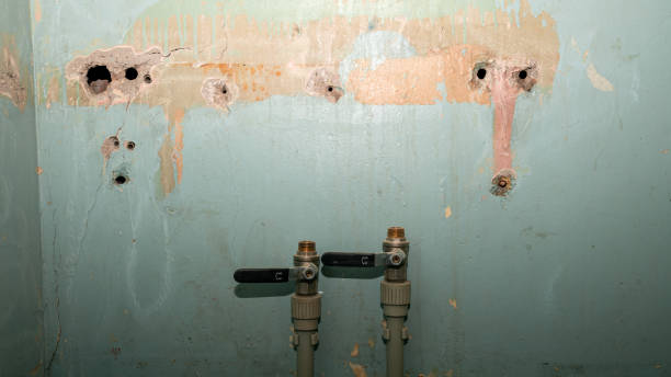 Best Commercial water damage restoration  in Delray Beach, FL