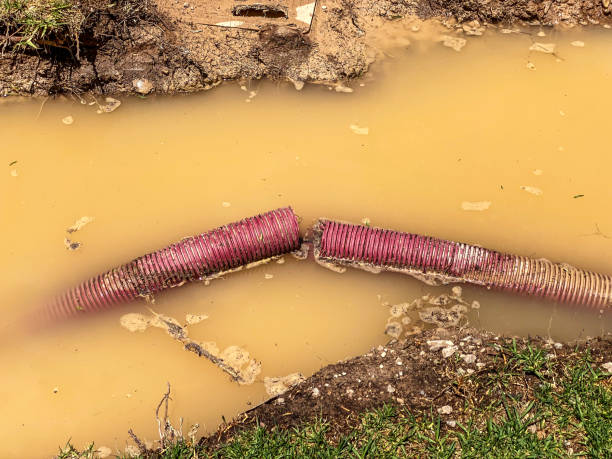 Best Water damage restoration near me  in Delray Beach, FL