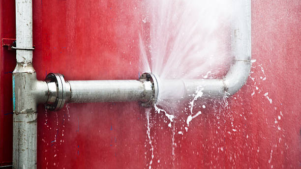 Best Carpet water damage restoration  in Delray Beach, FL