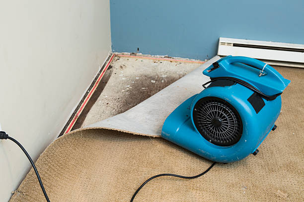 Best Water damage restoration near me  in Delray Beach, FL